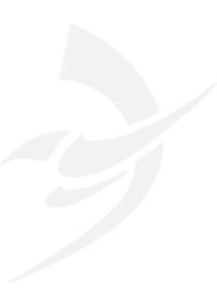 Falcoding logo - Software Developer in Como, Lombardy, Italia